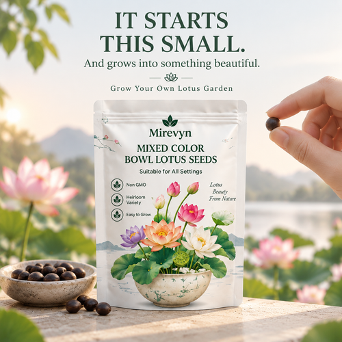 Grow Your Own Mini Lotus Garden | Mixed Color Bowl Lotus Seeds