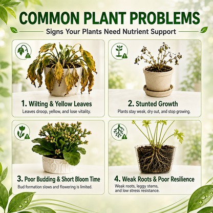 Nutrient Solution For Plant Growth
