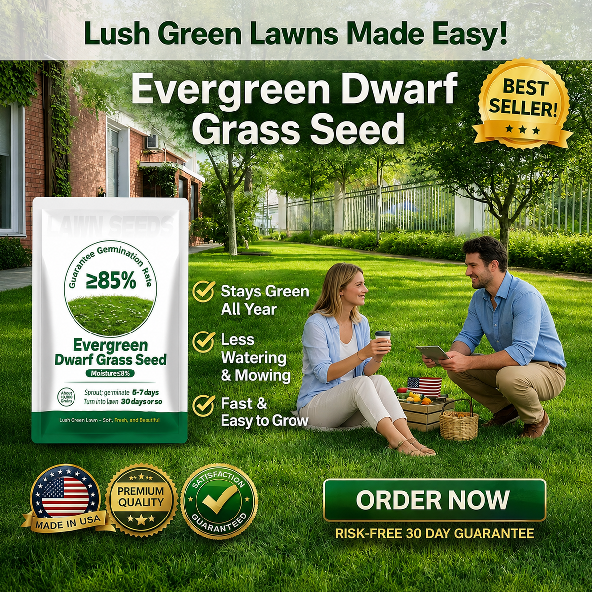 🌱2026 Evergreen Dwarf Grass Seed for Four Seasons| Durable, Vibrant Green All Year